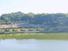 -东莞植物园
