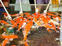 -太平洋海底世界