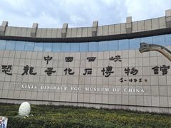 -中国西峡恐龙遗迹园
