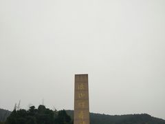 -铁山坪森林公园