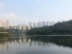 -重庆彩云湖湿地公园
