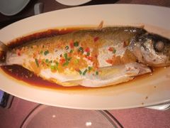 黄椒蒸翘嘴白鱼-羲和雅苑•北京烤鸭(乐园道万象城店)