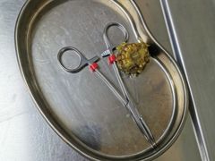 -谐和益家动物医院·免疫绝育·血液透析·宠保定点医院(高新伊藤分院)