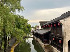 -鲁镇