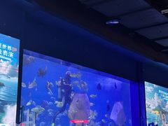 -重庆欢乐海底世界