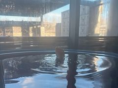 -春晖园度假酒店温泉