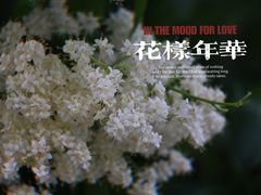 -长春公园(普阳街道)