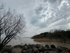 -上海吴淞炮台湾国家湿地公园