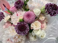 -植物学家的女儿(北马道巷店)