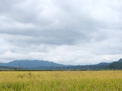 -洋湖沟