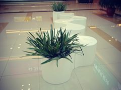 -好得家红星美凯龙苏州商场(吴中店)