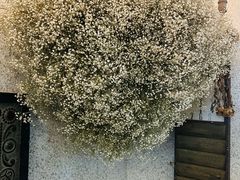 -绿房子方寸咖啡(星海名城店)