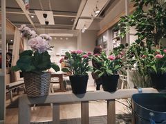 -宜家家居(西安未央商场店)