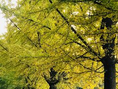 -辽东学院(南校区)