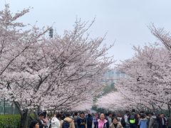 -同济大学-北苑食堂