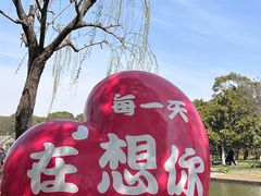 -上海鲜花港