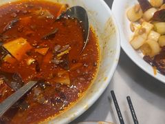 -辛香汇·锦里丨现炒川菜(中南城店)