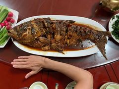 -金台阶鱼馆(于桥水库店)