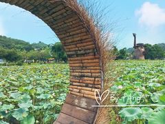 -红山村