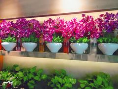 -香满园春饼·家常菜(东大桥店)