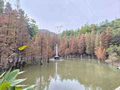 -广州市帽峰山景区