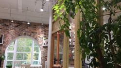 -星豆豆儿童摄影(南郊太白南路店)