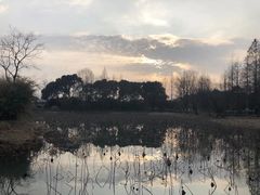 -渤公岛生态公园