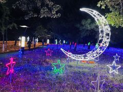 -青龙湖公园
