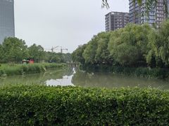 -丁家河公园