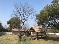 -合肥野生动物园