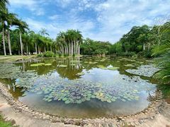-中国科学院西双版纳热带植物园