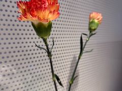 -潮堂 · 潮州菜(人广来福士店)
