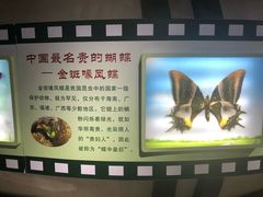 -上海昆虫博物馆