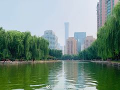 -团结湖公园