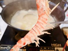 花竹虾-鲜入围煮花胶鸡海鲜火锅