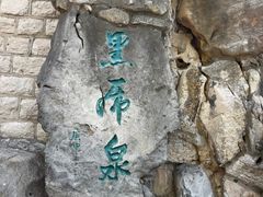-教师之家赵家羊汤馆(东青龙街店)