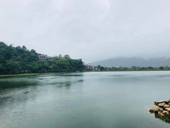 -墨尔本皇家植物园