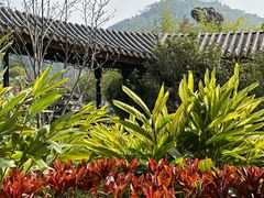 -顺峰山公园