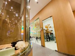 -BABIT巴比特宠物(MOMOPARK店)