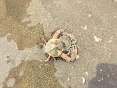 -辽宁团山国家级海洋公园