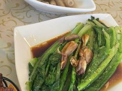 -百利鸽王(紫薇路店)