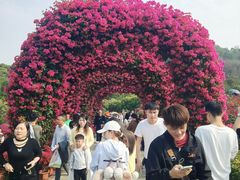 -东莞植物园