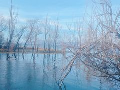 -洱海月湿地公园