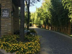 -芭东小镇温泉