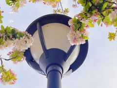 -海棠花溪(元大都城垣遗址公园)