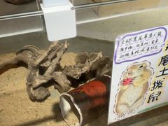-正佳雨林生态植物园