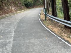 -风云岭森林公园