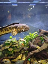 -Zoolung Zoolung动物主题公园(海信广场店)