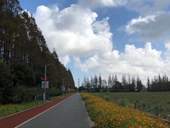 -上海长兴岛郊野公园