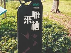 -海珠湖公园